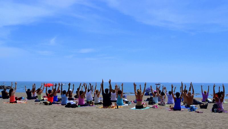 Frantastic Yoga on the Beach at Woodbine. Photo: Leigh Nelson